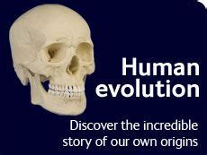 How to Solve Human Evolution’s Greatest Hoax .